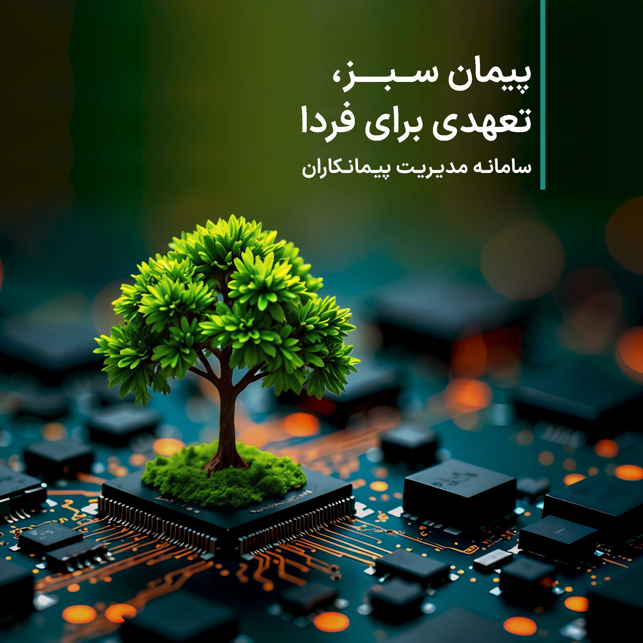سامانه پیمان ققنوس